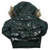 EWING Darkest Spruce Back